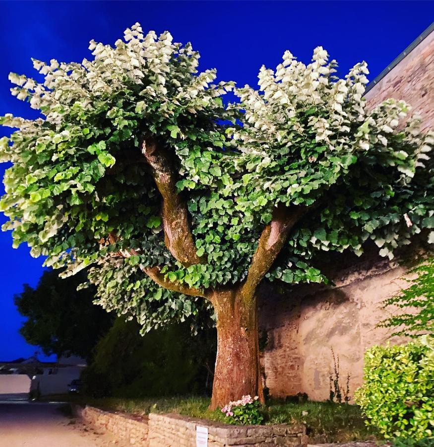 La Dormance Bed & Breakfast Beaune  Exterior photo